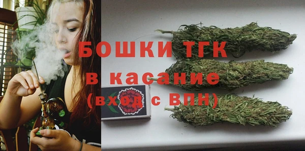 прущие крисы Арсеньев