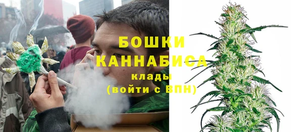 прущие крисы Арсеньев