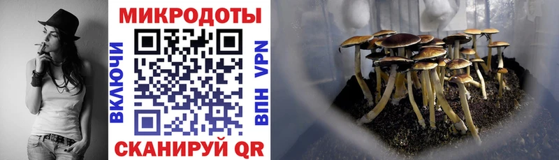 Псилоцибиновые грибы прущие грибы  Болхов 