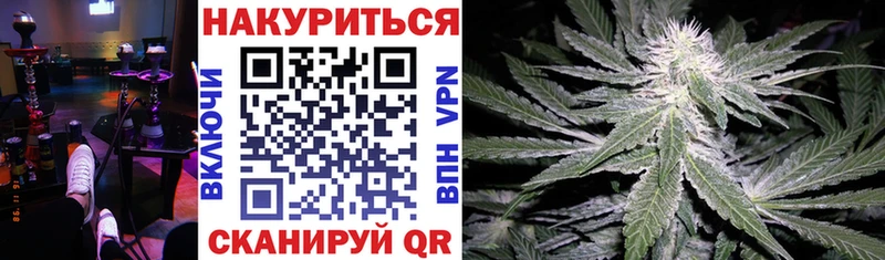 где найти   ОМГ ОМГ ТОР  Бошки марихуана сатива  Болхов 